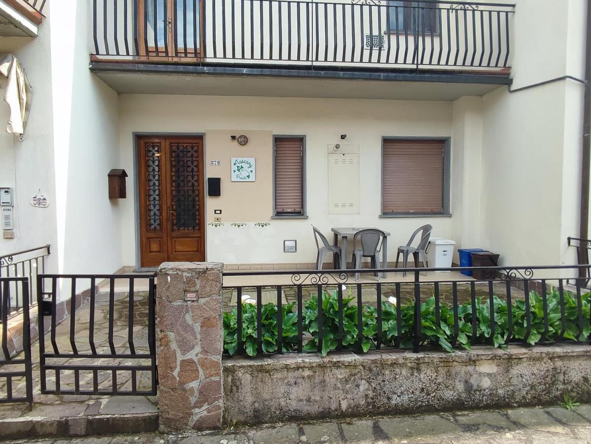 Apartment Tuscany Break